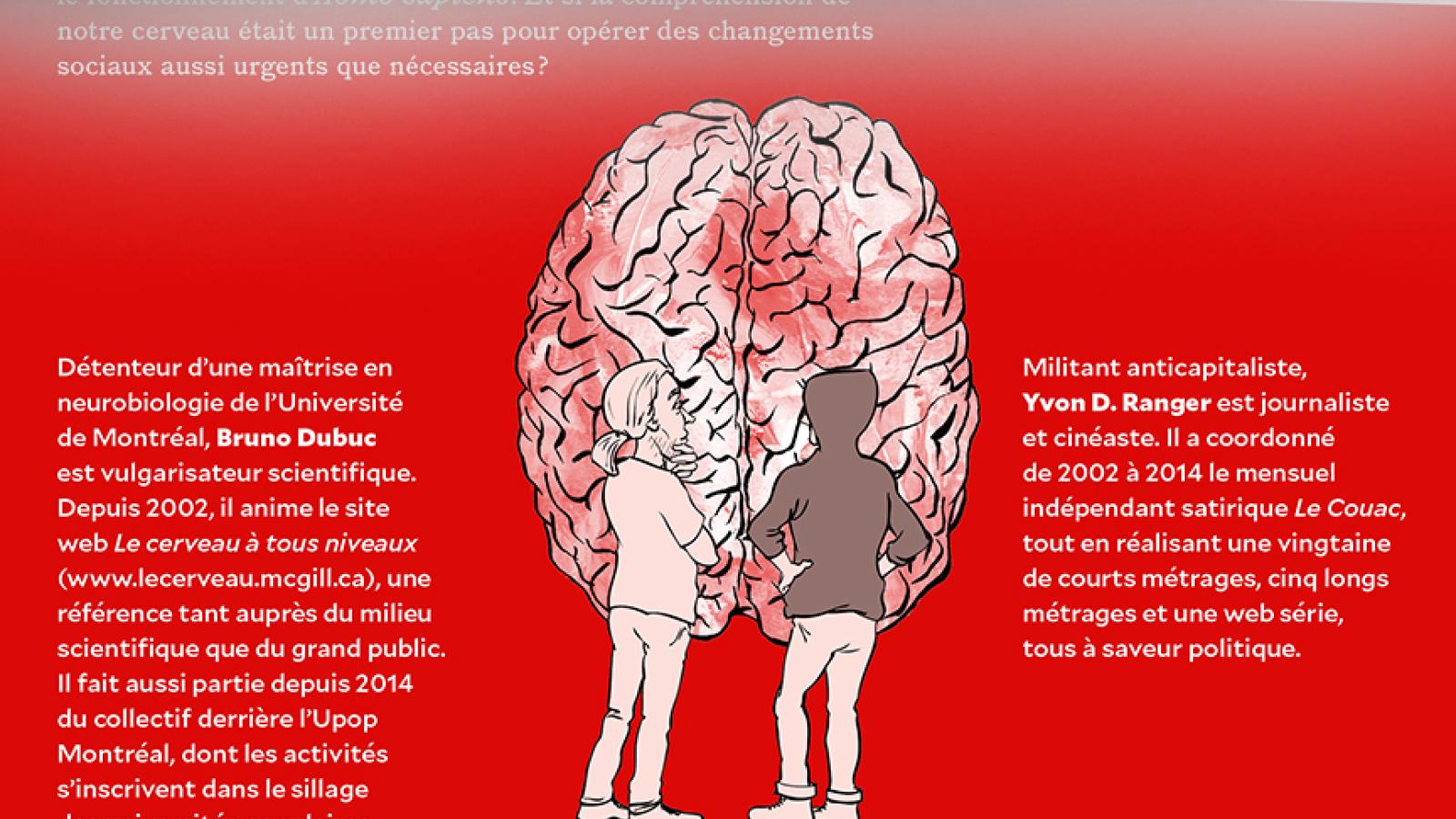 Cerveau C4 pour blogue (juste le bas) 3.jpg
