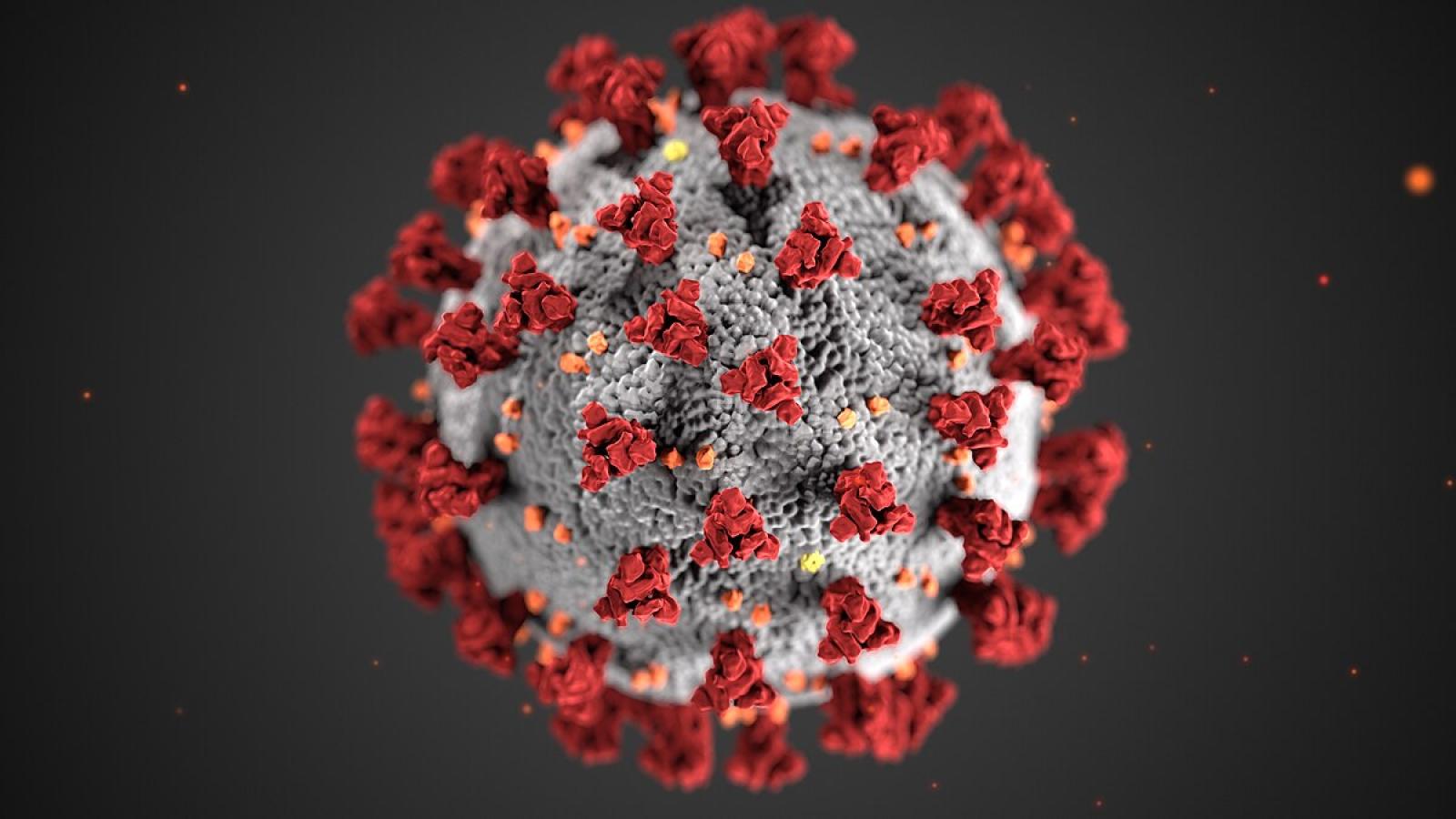 Image d'un coronavirus créée par les Centers for Disease Control and Prevention (CDC)