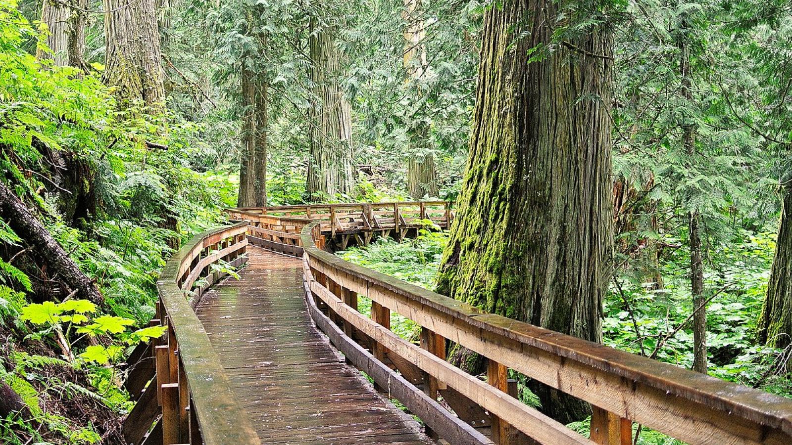 Forêt pluviale tempérée de Chun T'oh Whudujut