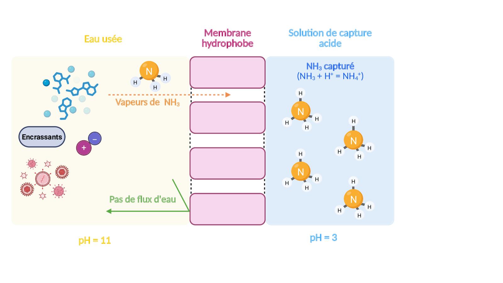 CQMF - FPerreault.jpg
