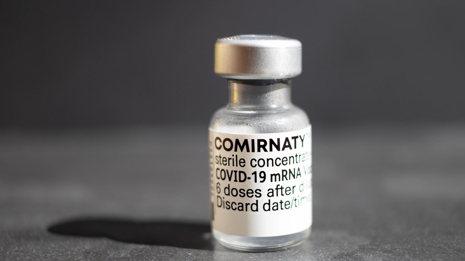 Vaccin-ARN-fiole.jpg