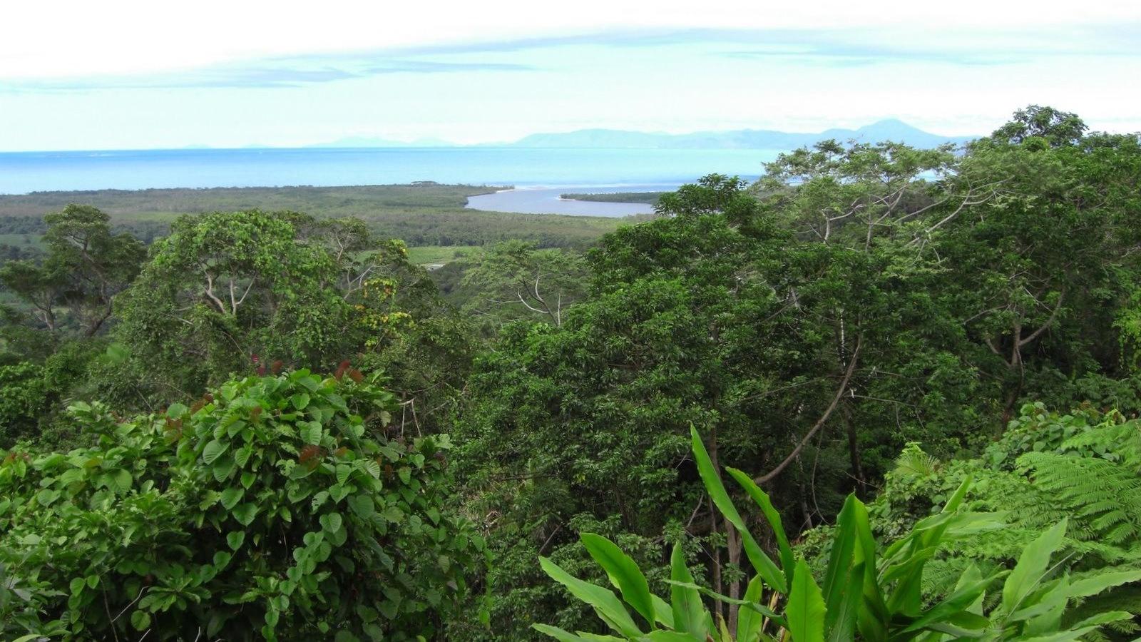 Foret-Daintree-Australie.jpg
