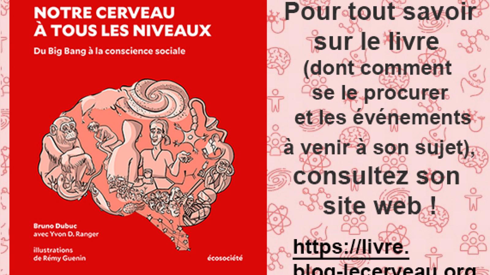 Image-haut-de-blogue-pour-livre.jpg