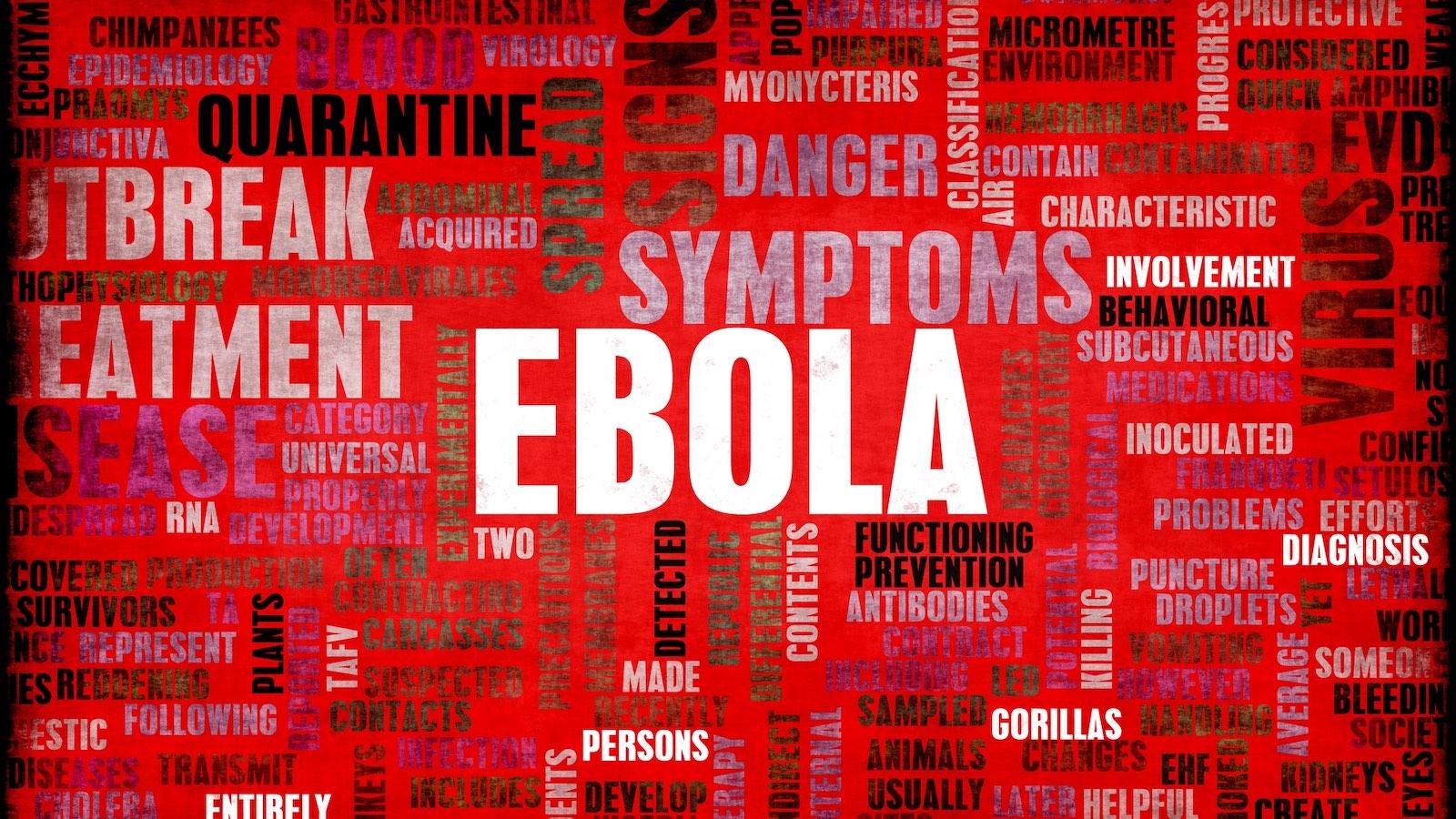 Ebola-nuage-mots.jpg