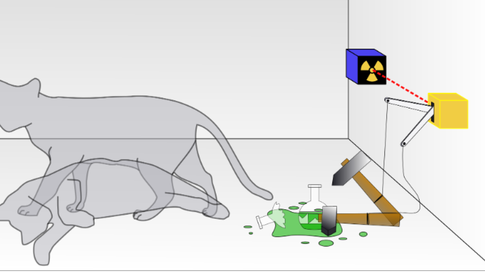 Chat de Schr&ouml;dinger.png