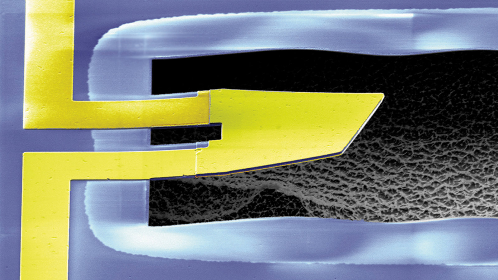 1216sp_boy_paddle_1024w_0.jpg