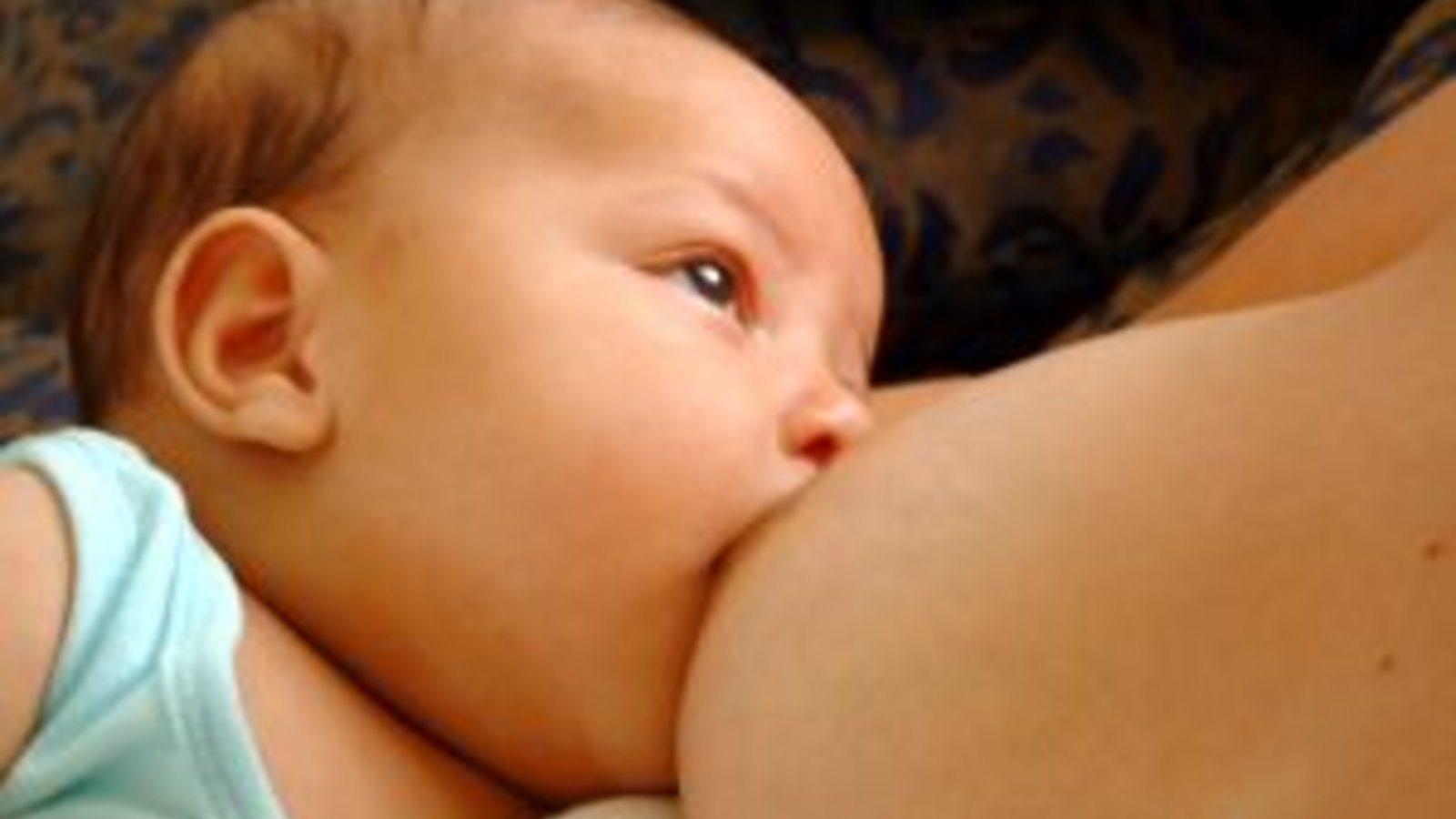 161052_lactation2.jpg