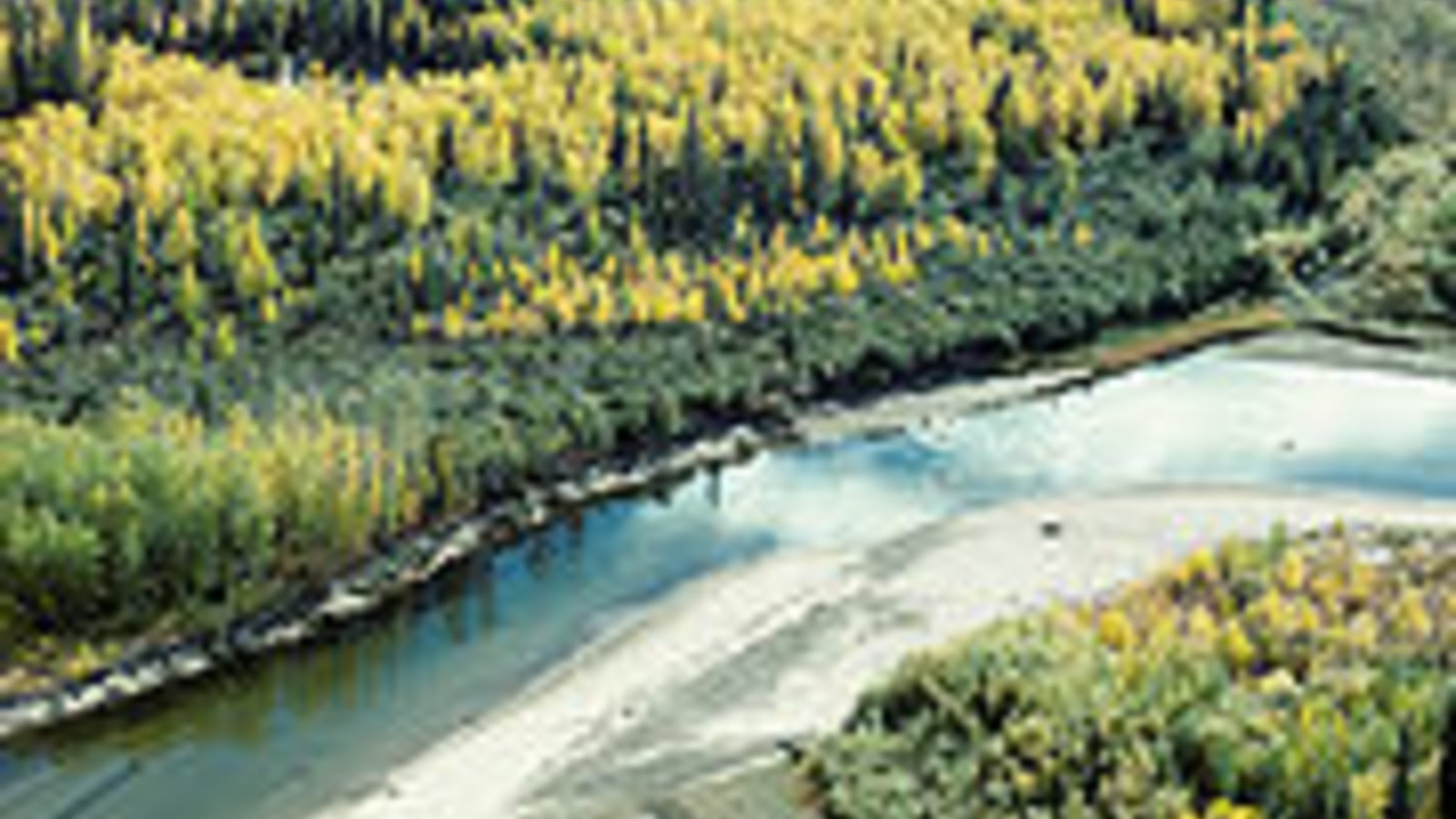 180px-Fall_on_the_Yukon_Flats_NWR.jpg