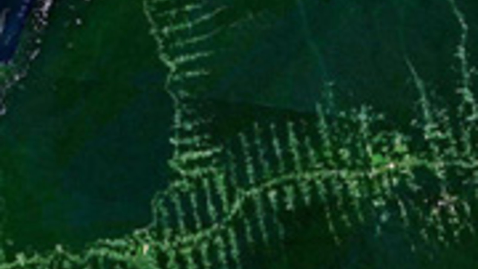 180px-amazonie_deforestation.jpg