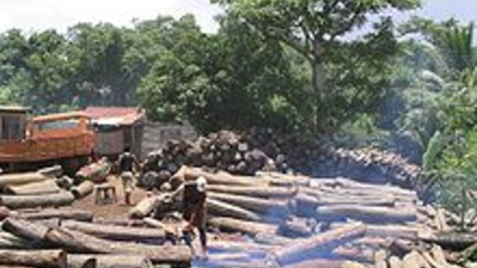 220px-Illegal_export_of_rosewood_001-Erik_Patel.jpg