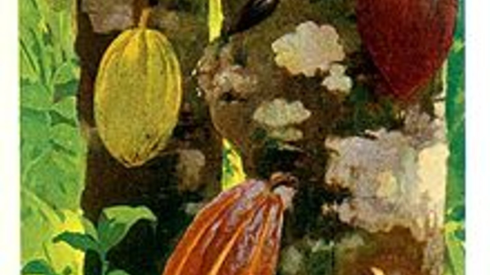 220px-cacao_pods_-_project_gutenberg_etext_16035.jpg