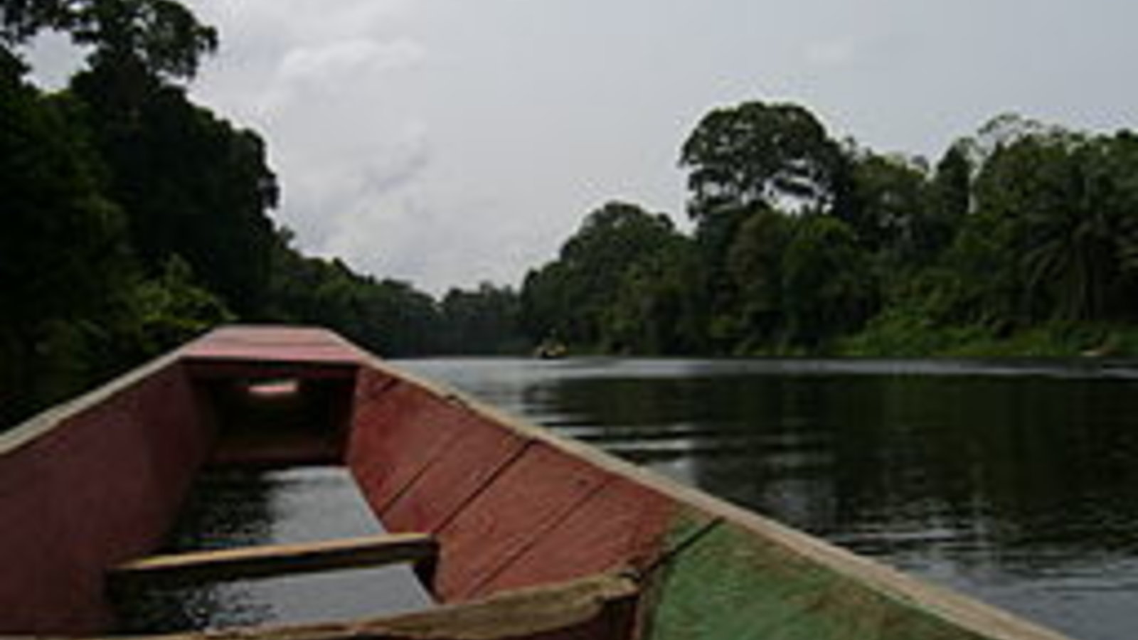 256px-cameroun_-_remontee_du_fleuve-pra-wikimcommons.jpg