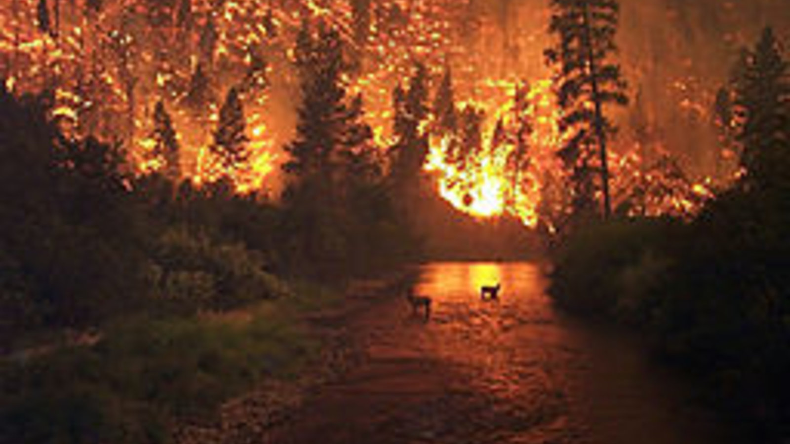 256px-deerfire-2-by_john_mccolgan-public_domain-_via_wikimedia_commons.jpg