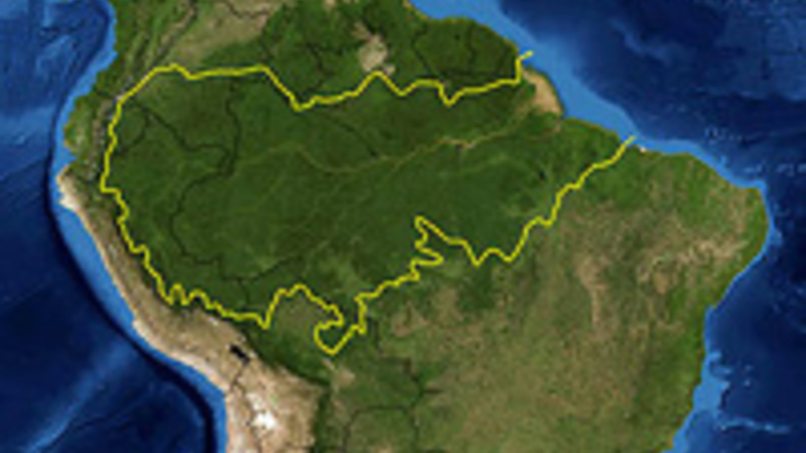 300px-amazon_rainforest.jpg
