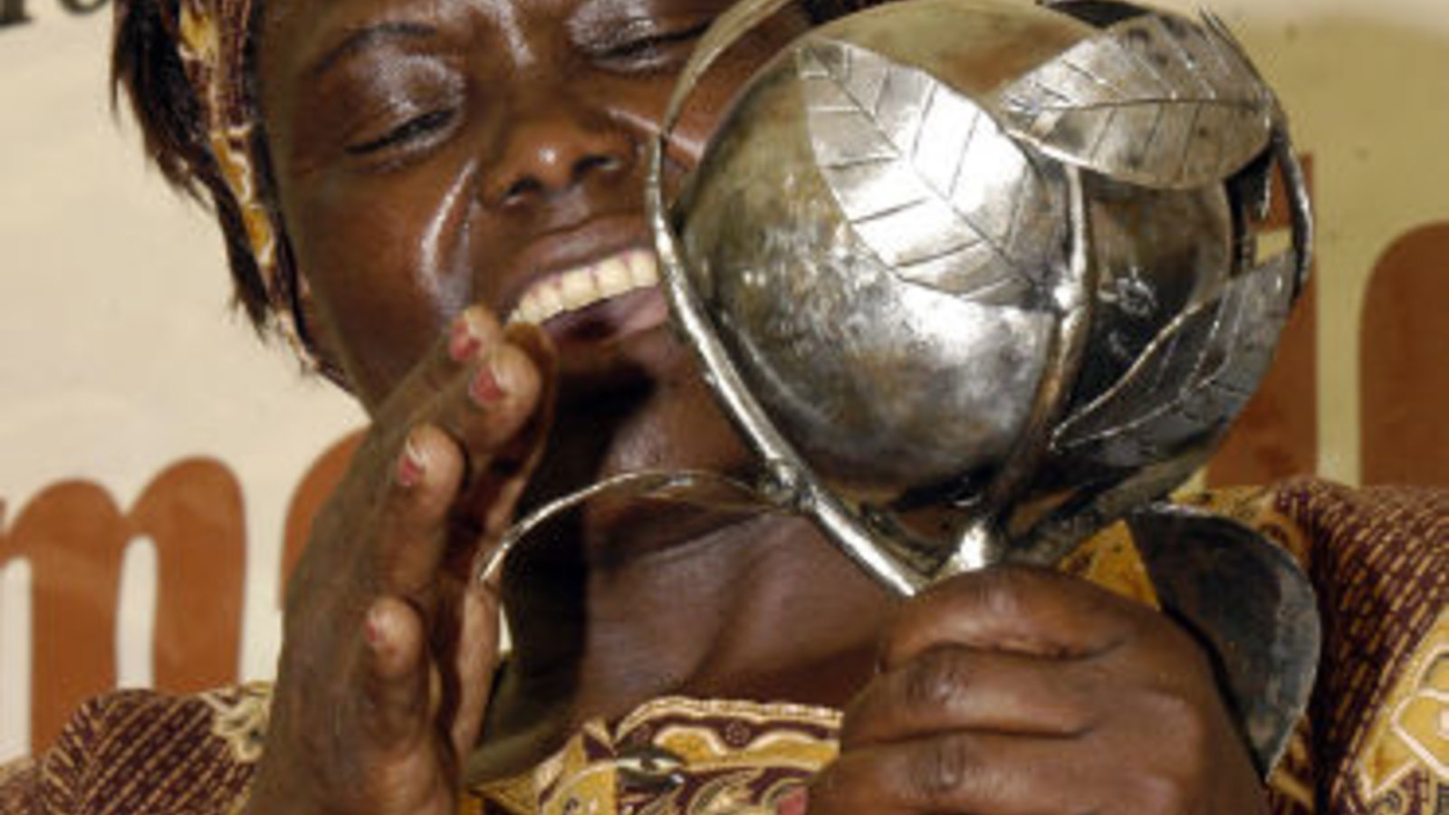 371px-wangari_maathai_demosh_wc.jpg
