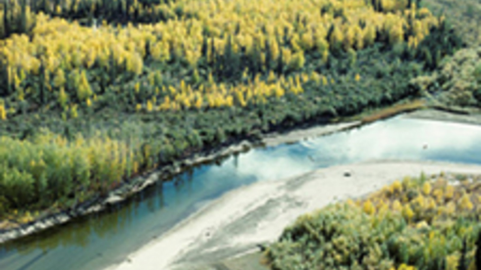 3foret-boreale-412px-fall_on_the_yukon_flats_nwr.jpg