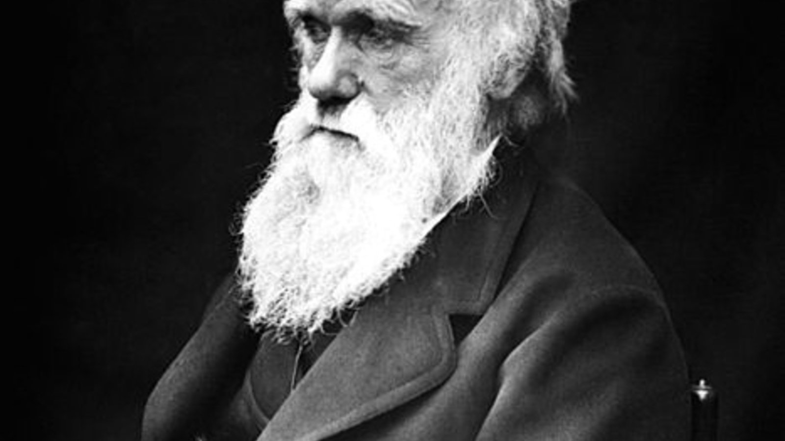 467px-charles_darwin_01.jpg