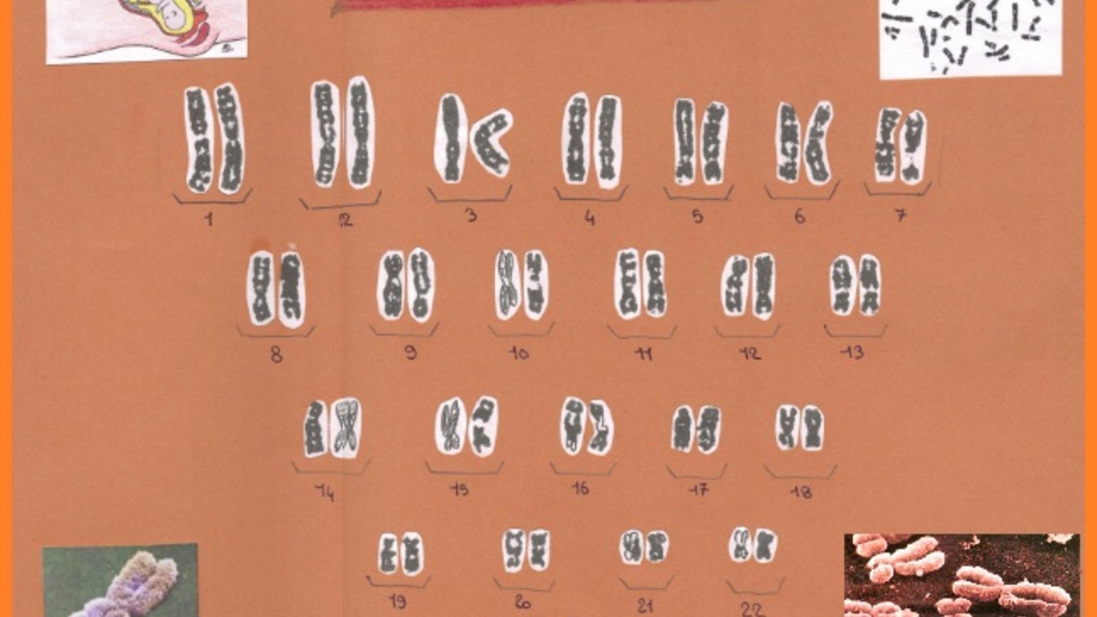 5044276563_4819287c88_o.jpg