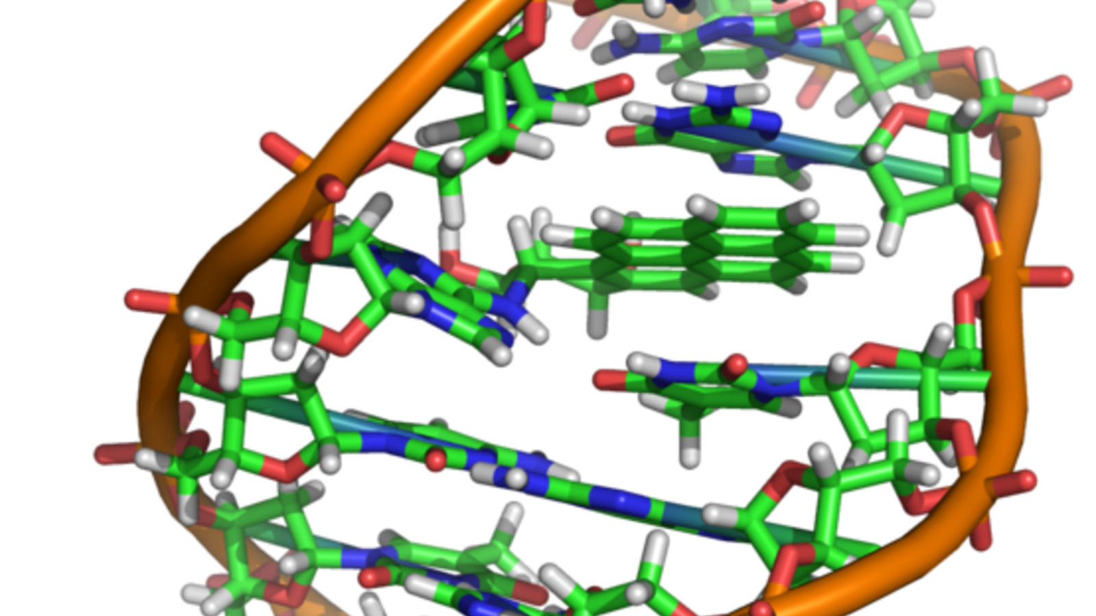 555px-benzopyrene_dna_adduct_1jdg.png