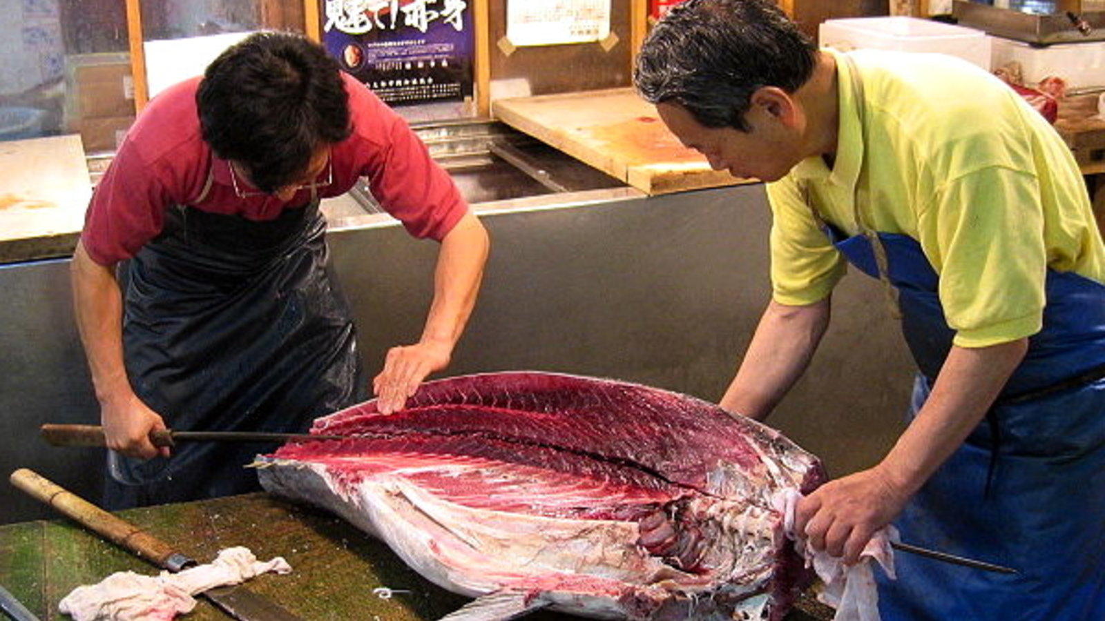 800px-Oroshi_hocho_Tuna_Knife.jpg
