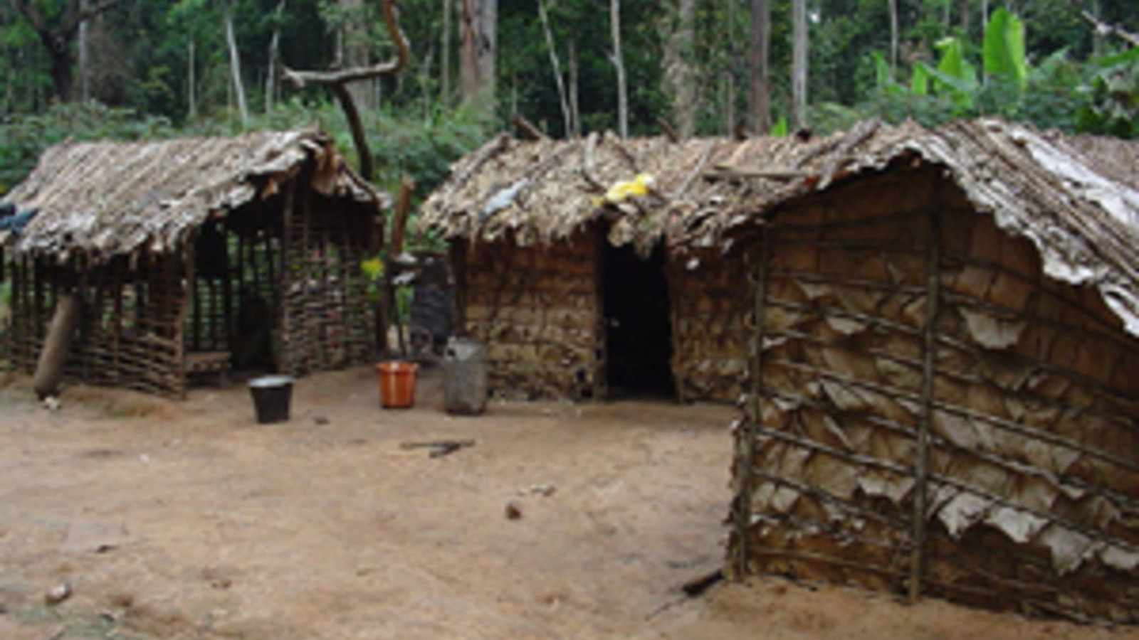 800px-pygmy_house_outsideview.jpg