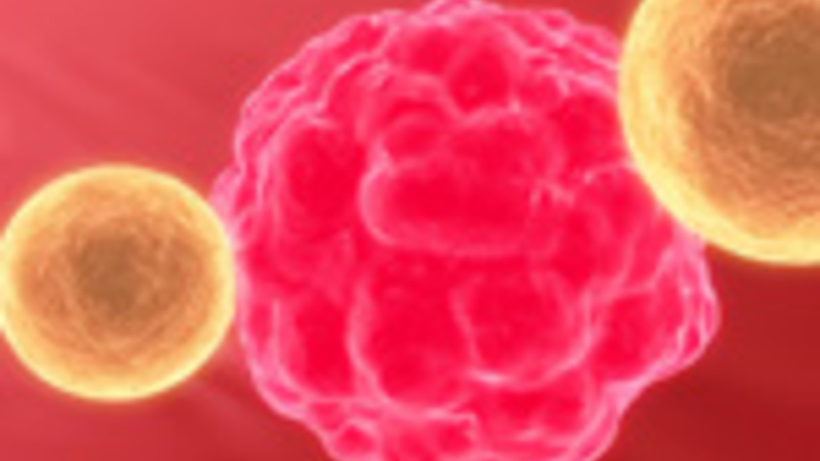 DT_cancercell-2_ok.jpg
