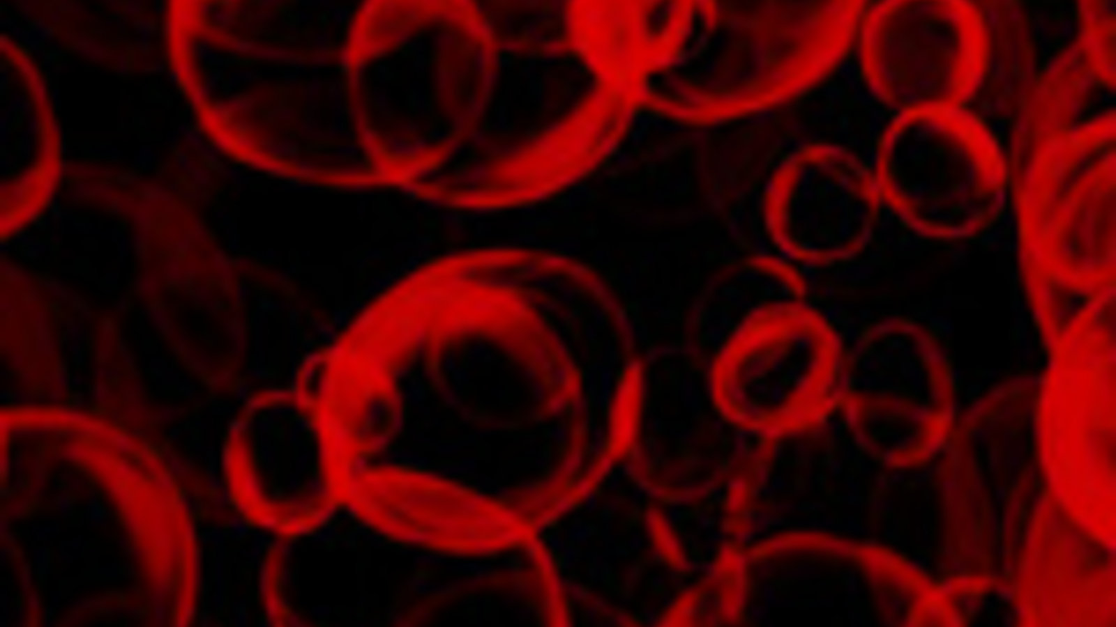 DT_cells_ok.jpg