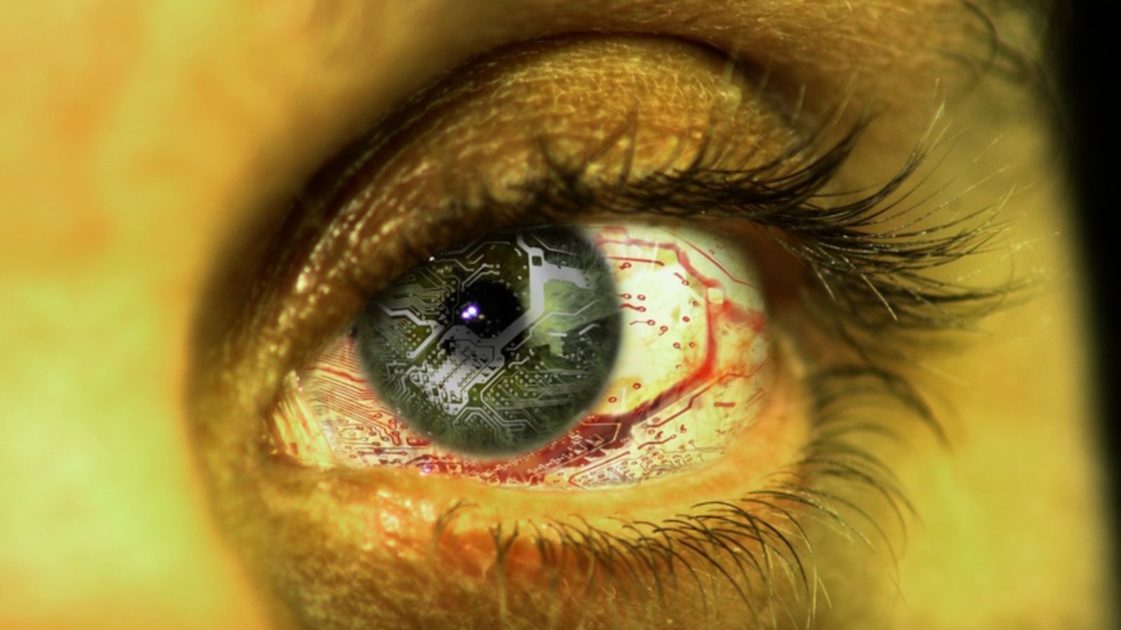 DT_eyereseauxrouges.jpg