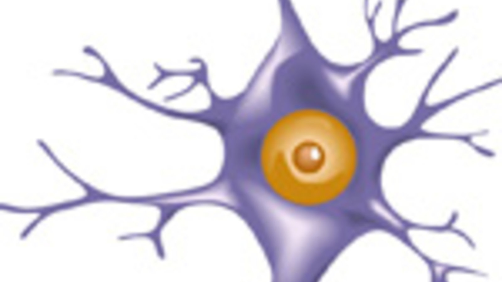 DT_neurone_ok.jpg