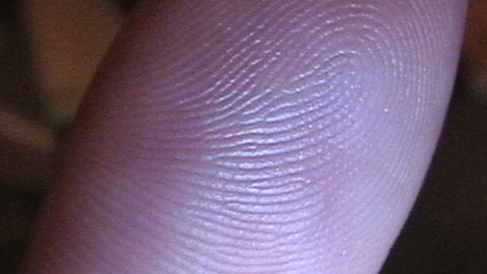 Fingerprintonfinger.JPG