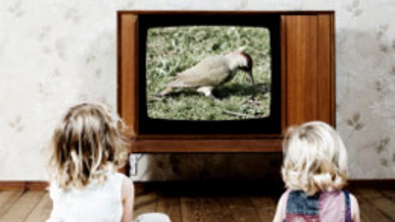 Images_deux_enfants_tele.jpg