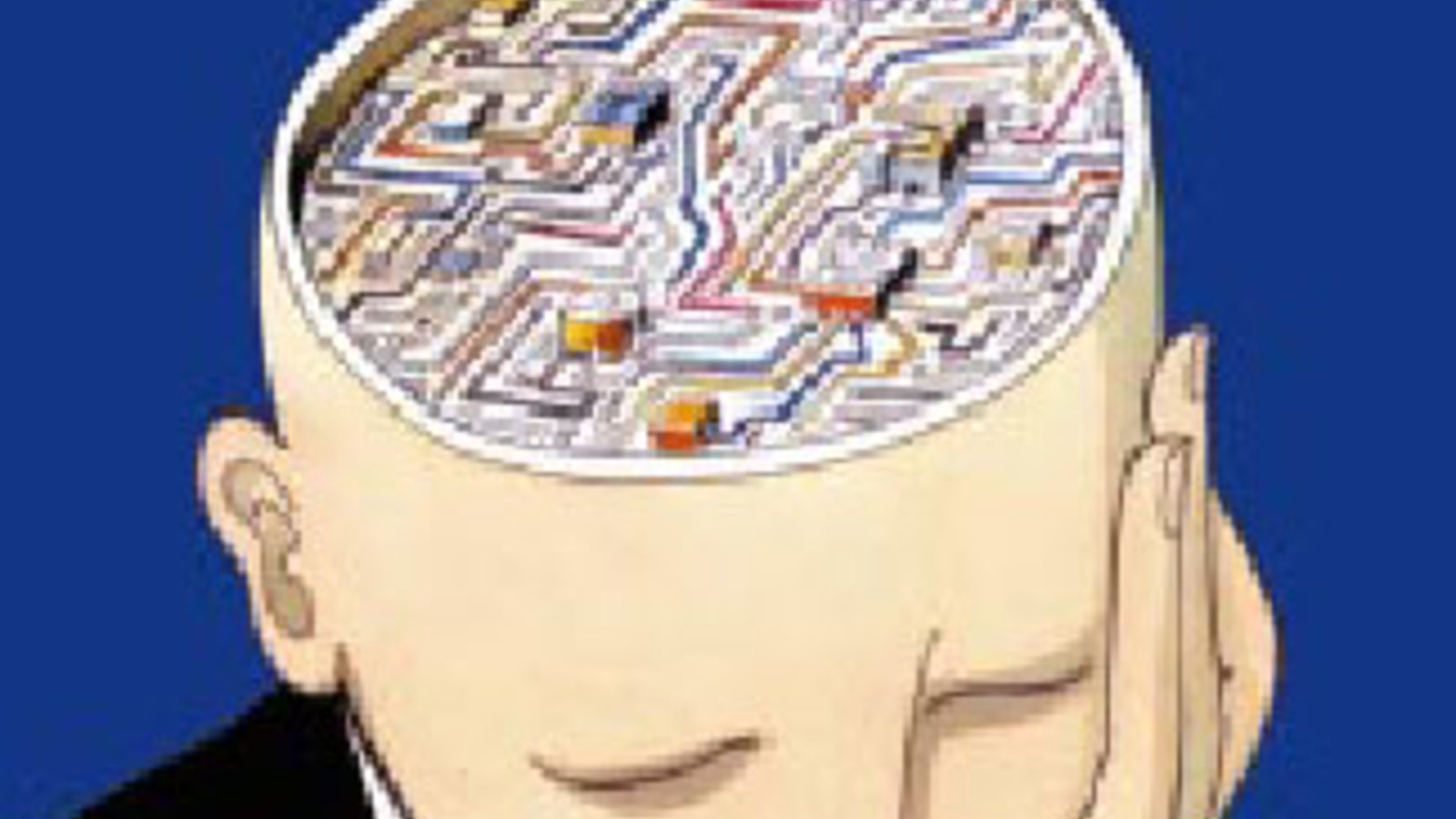 Images_tete_coupee_voit_cerveau.jpg