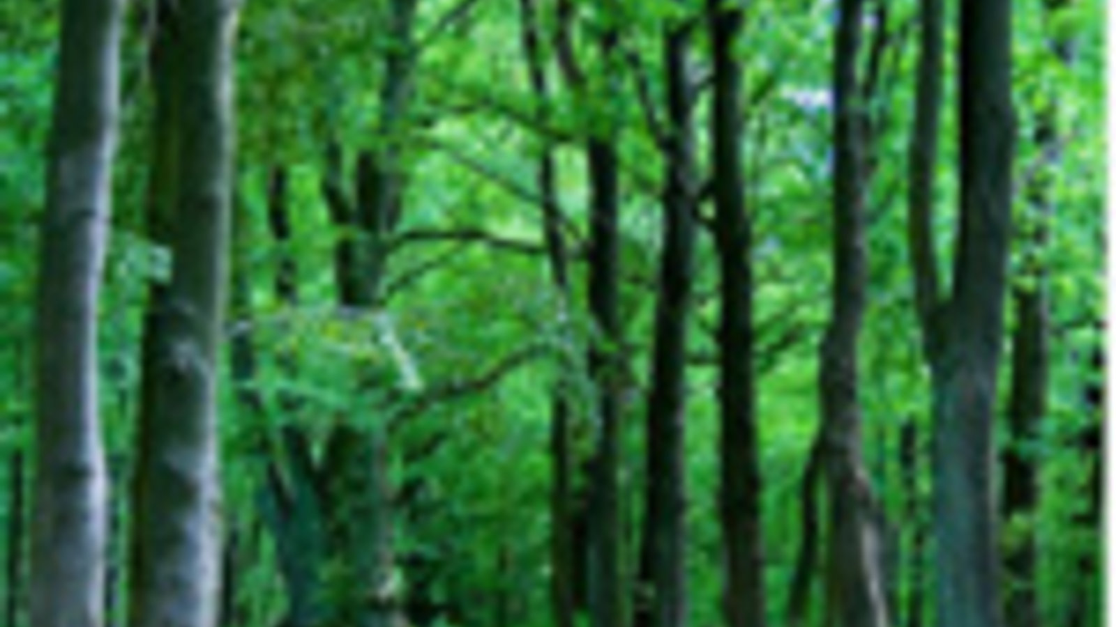 Rz_43-photo-libre.fr-2.jpg