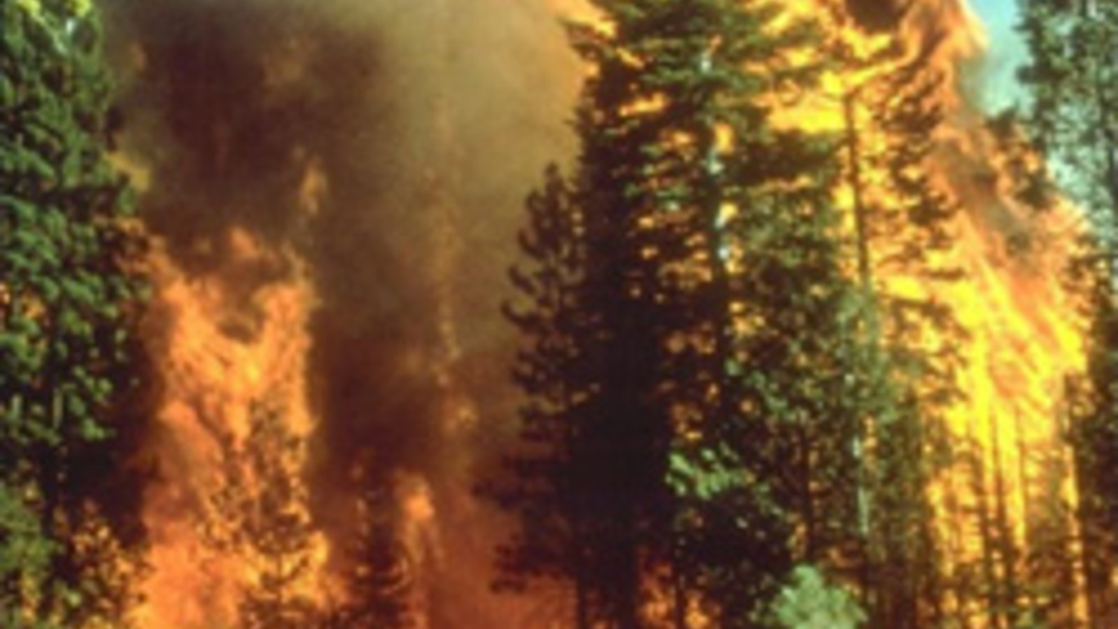 Wildfire_in_California.jpg