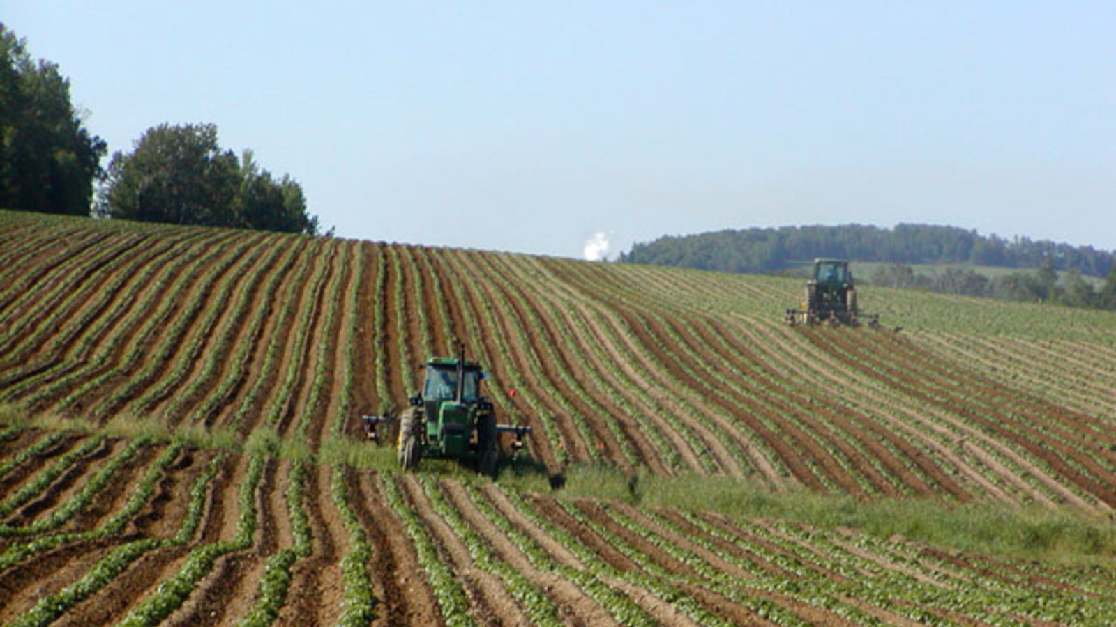 agriculture.jpg