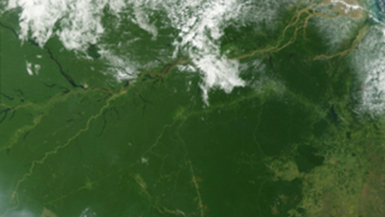 amazon-the_amazon_rainforest-bresil-nasa.jpg