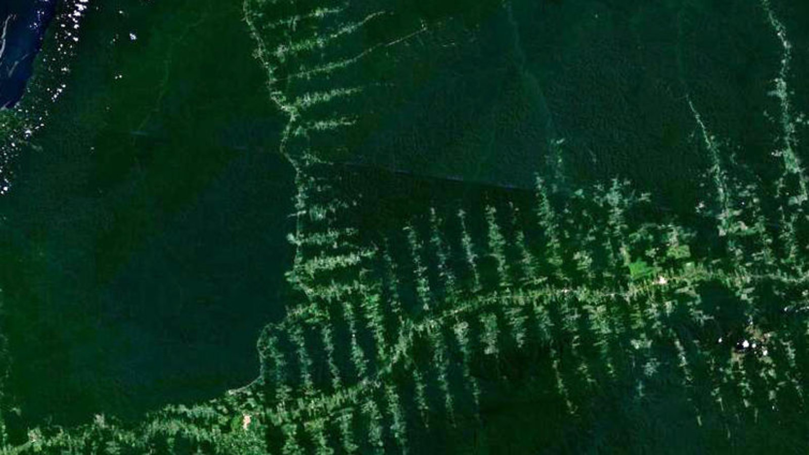 amazoniedeforestationsatellite_nasa_wc.jpg