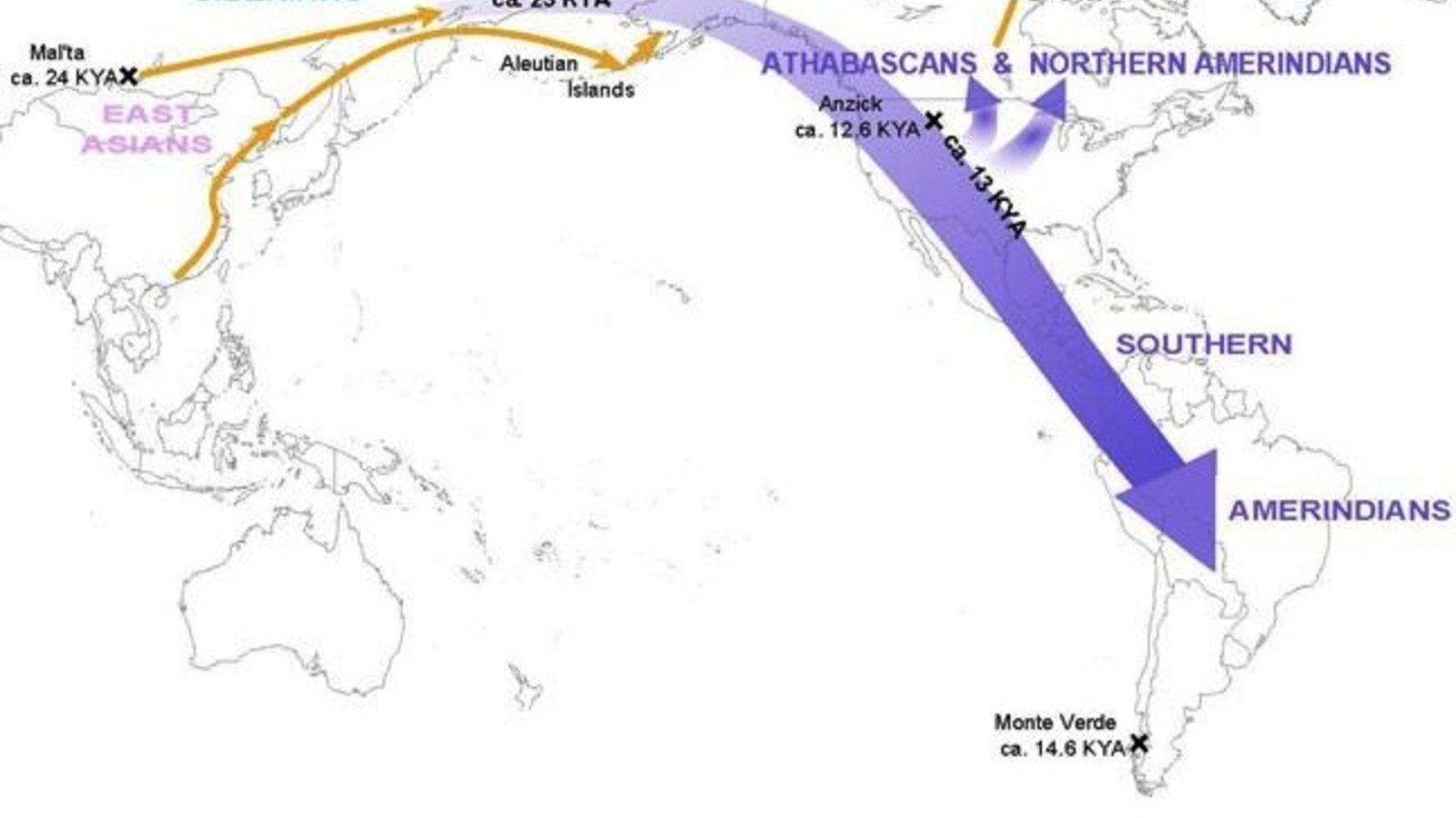 amerindiens-migrations-2015-science.jpg
