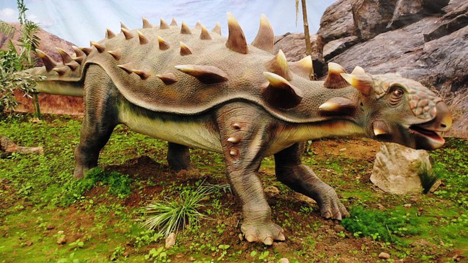 ankylosaurus.jpg