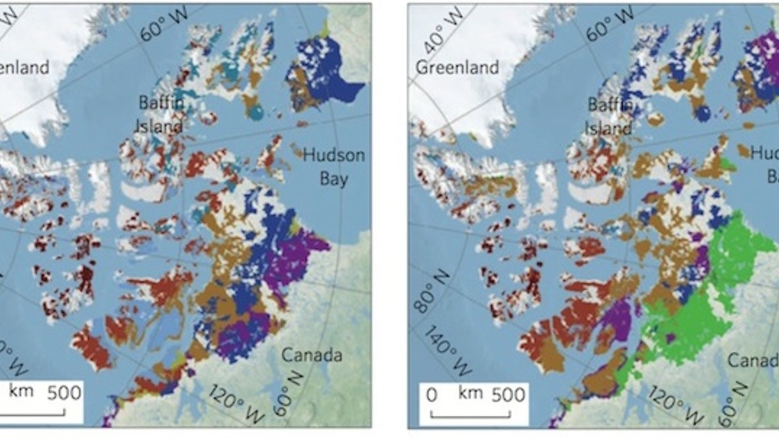 arctique-vegetation.jpg