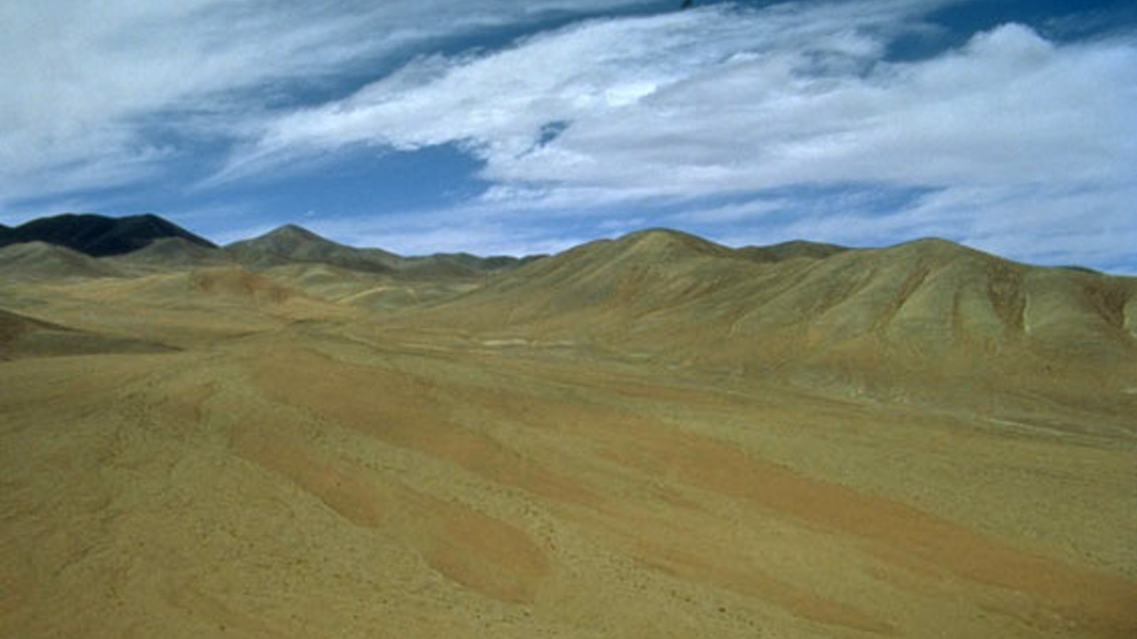 atacama1.jpg