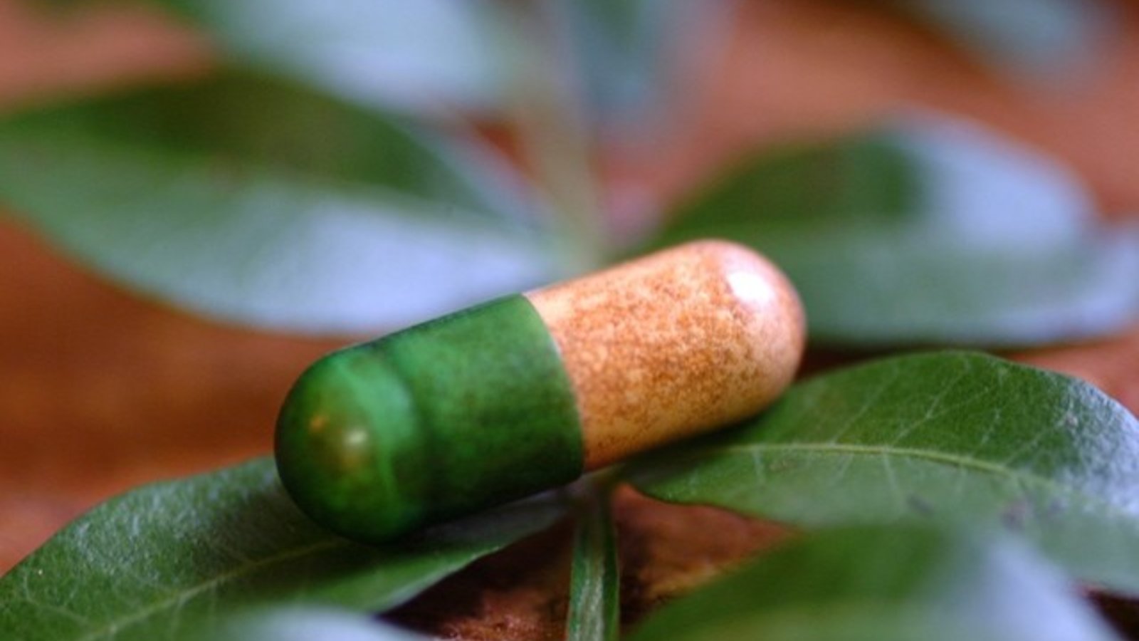 bioprospection-blogue_2.jpg