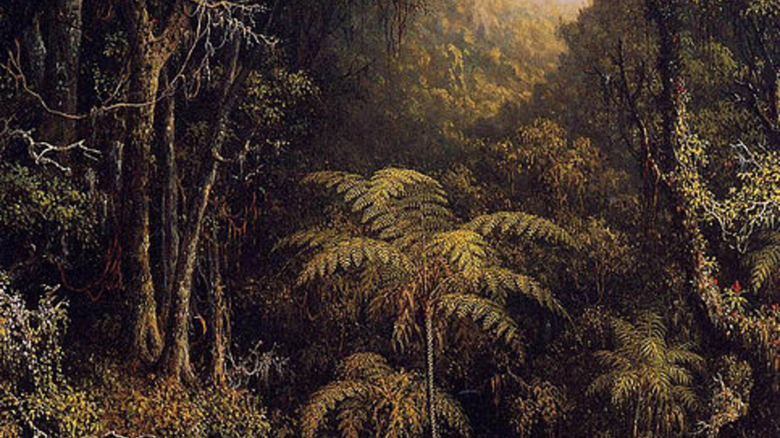 brazilian_forest_martinjohnsonheade_wc.jpg