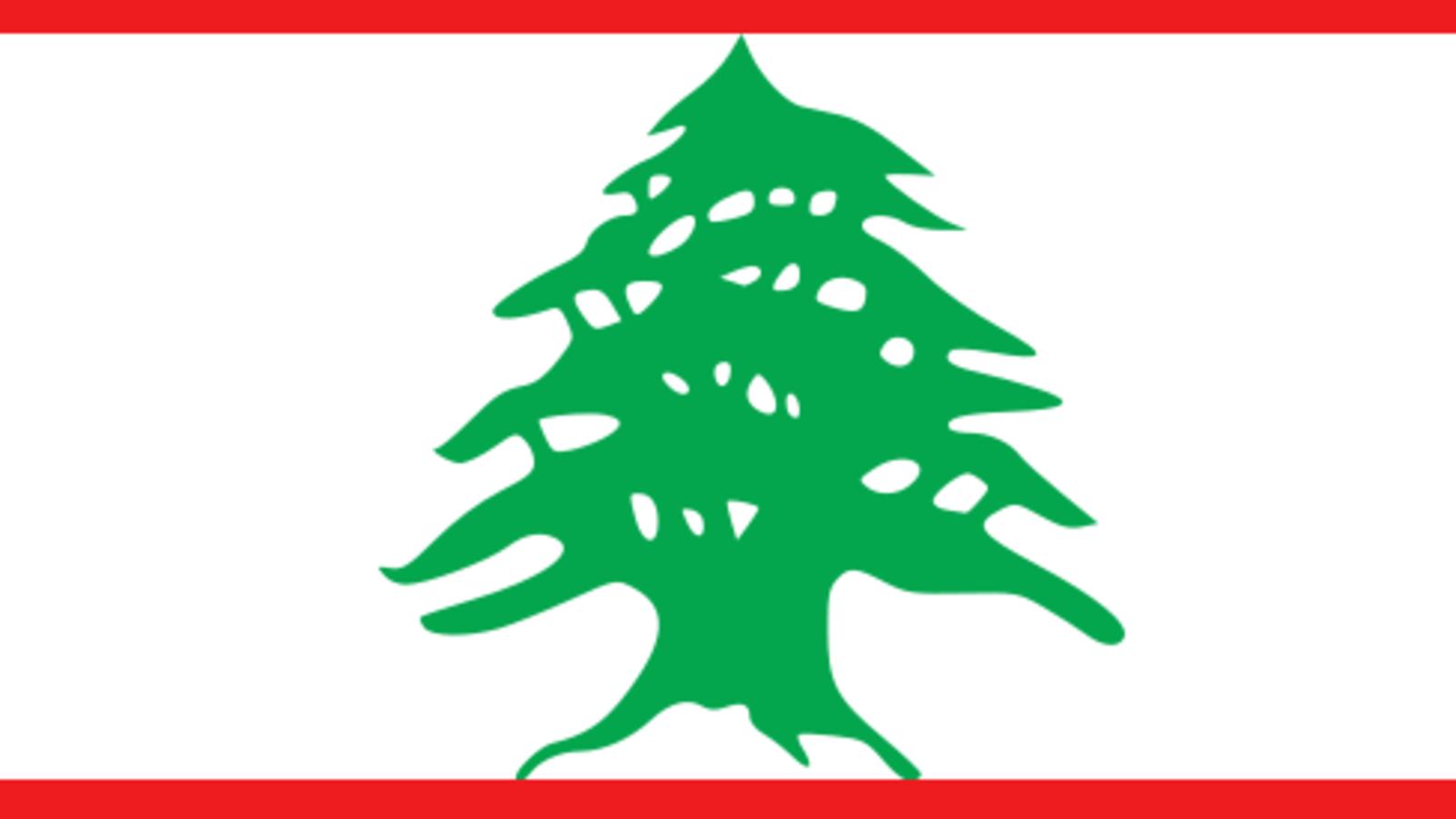 capture_decran_2011-03-29_a_5.51.21_.png