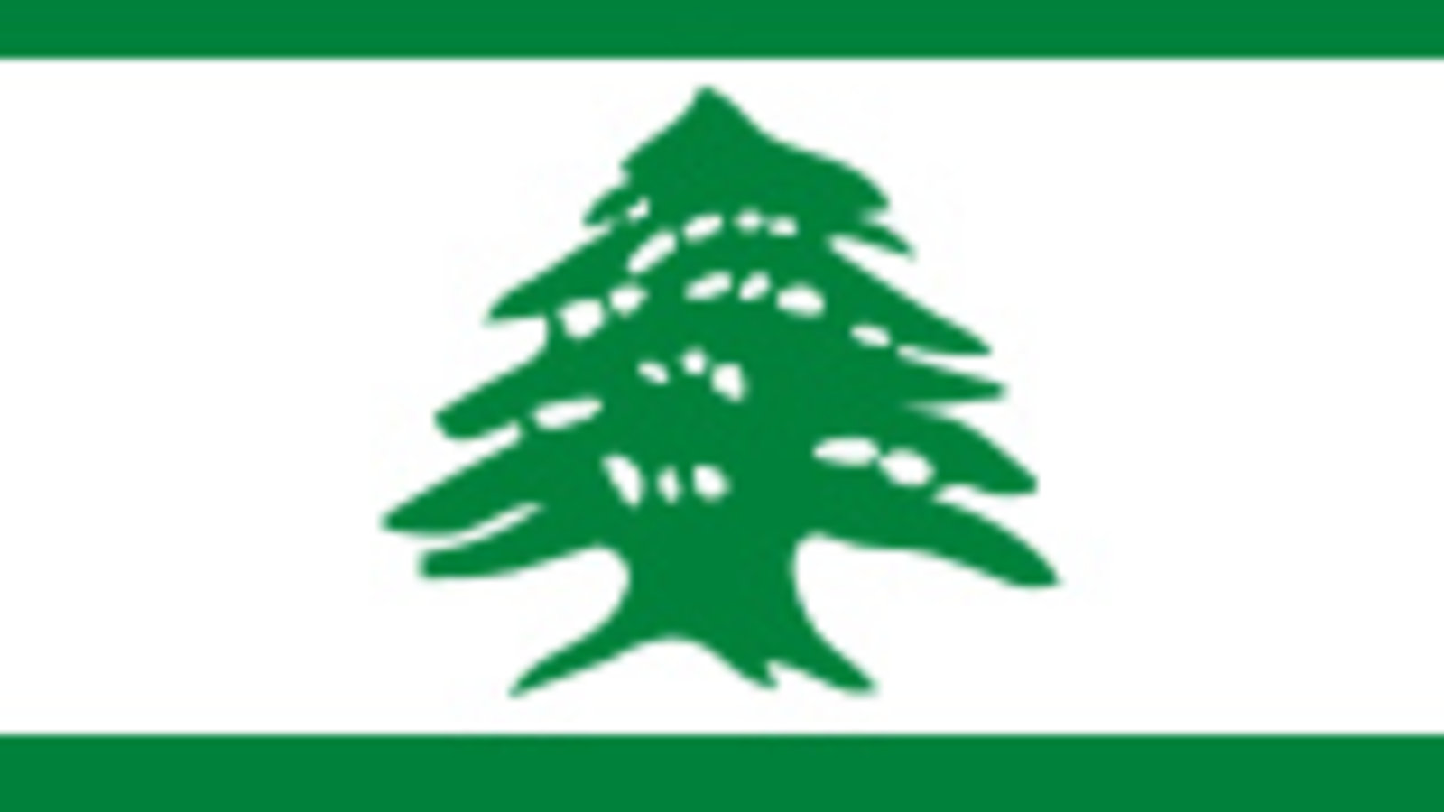 cedar_tree_logo_vincshekhan_wc.jpg