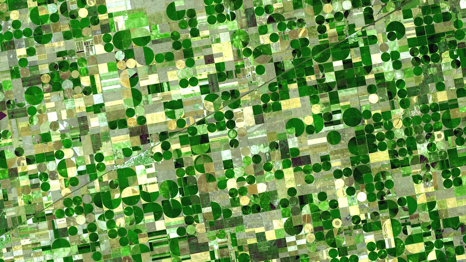 crops_kansas_ast_20010624.jpg