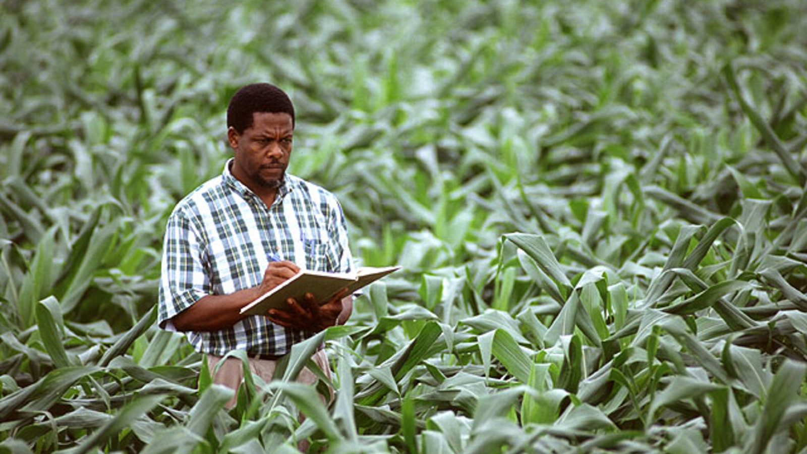 cropscientist.jpg