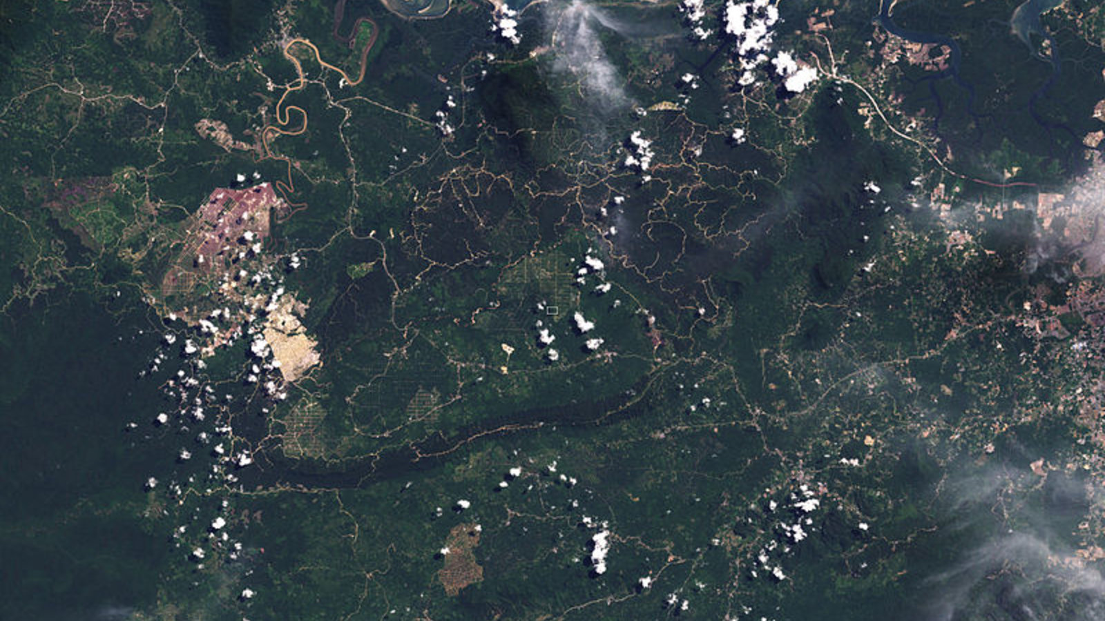 deforestation_borneo_jallenrsimmon_nasa_wc.jpg