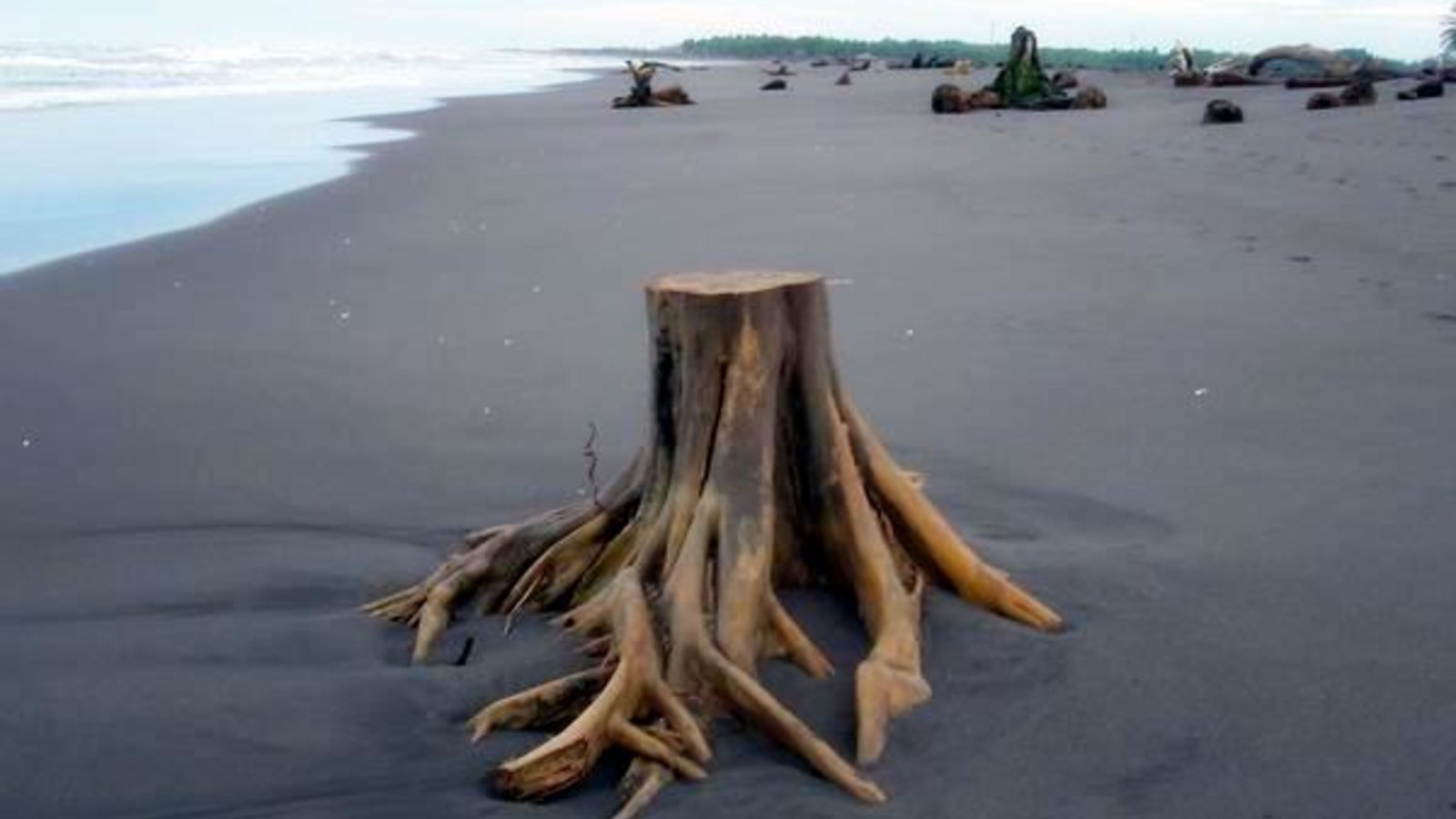 deforestation_in_guatemala_patigaitan_wc.jpg