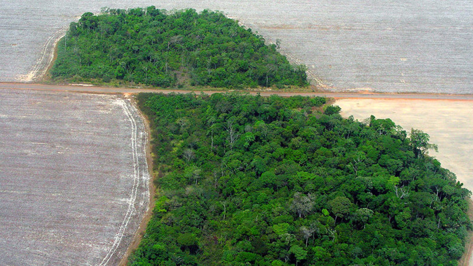 deforestationamazonie_pedrobiondi_agenciabrasil_wc.jpg